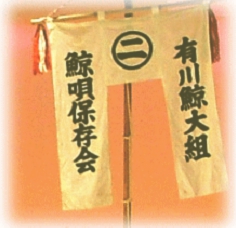 image4.jpg