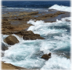 image3.jpg